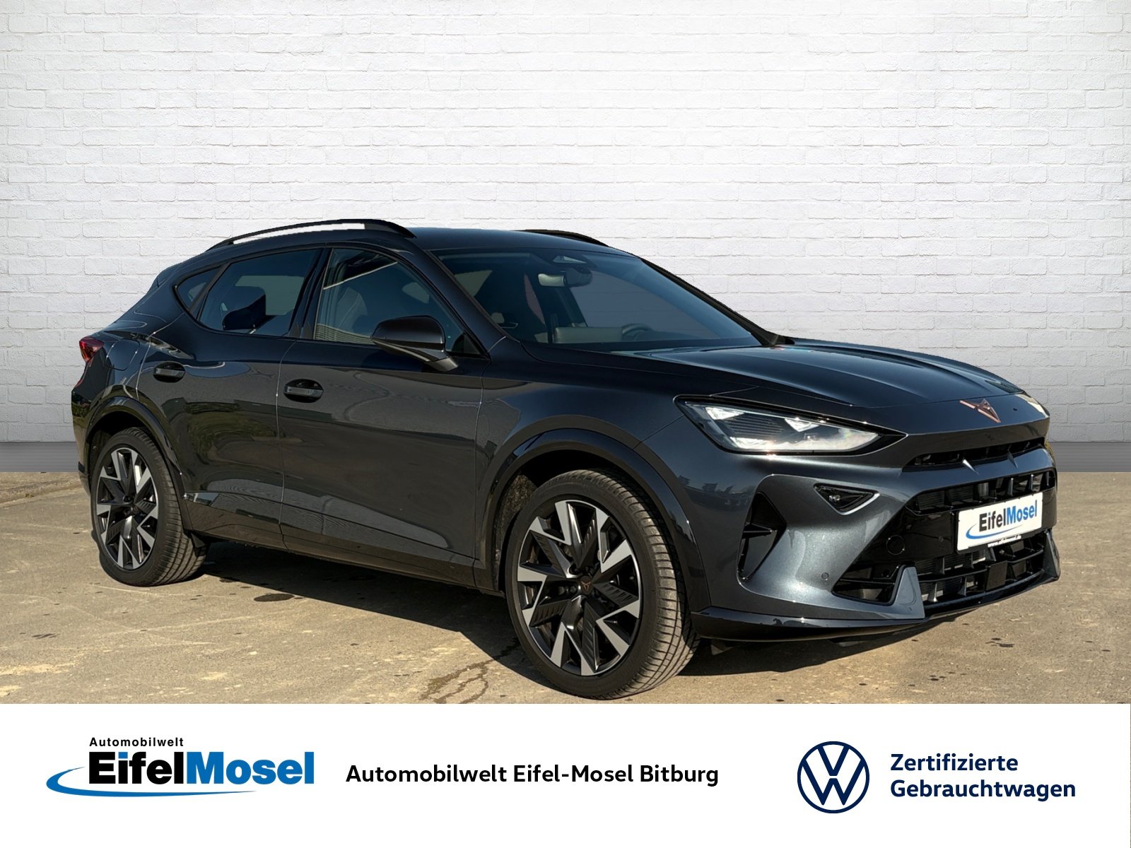 Foto 1 - Cupra Formentor 2.0 TSI 4Drive DSG AHK ACC Rückfahrkamera Einparkhilfe, Magnetic Grau