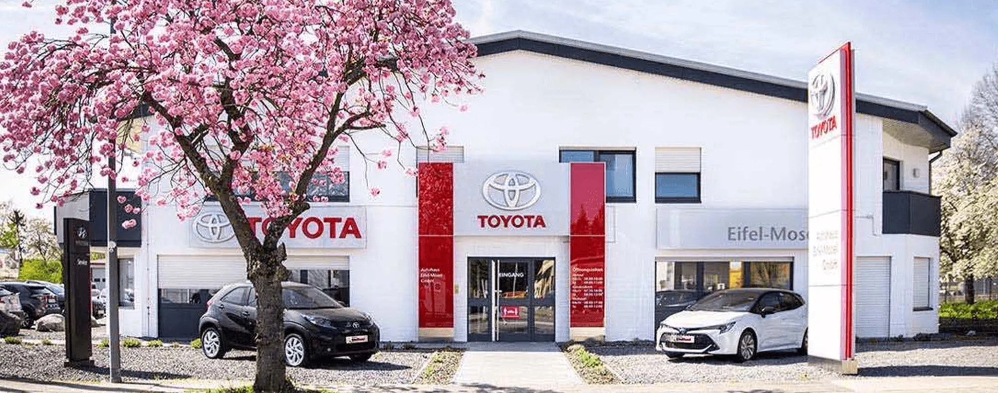 Wittlich Toyota | Hyundai